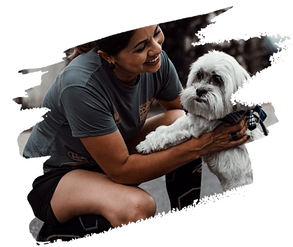 pet sitting teammate 2